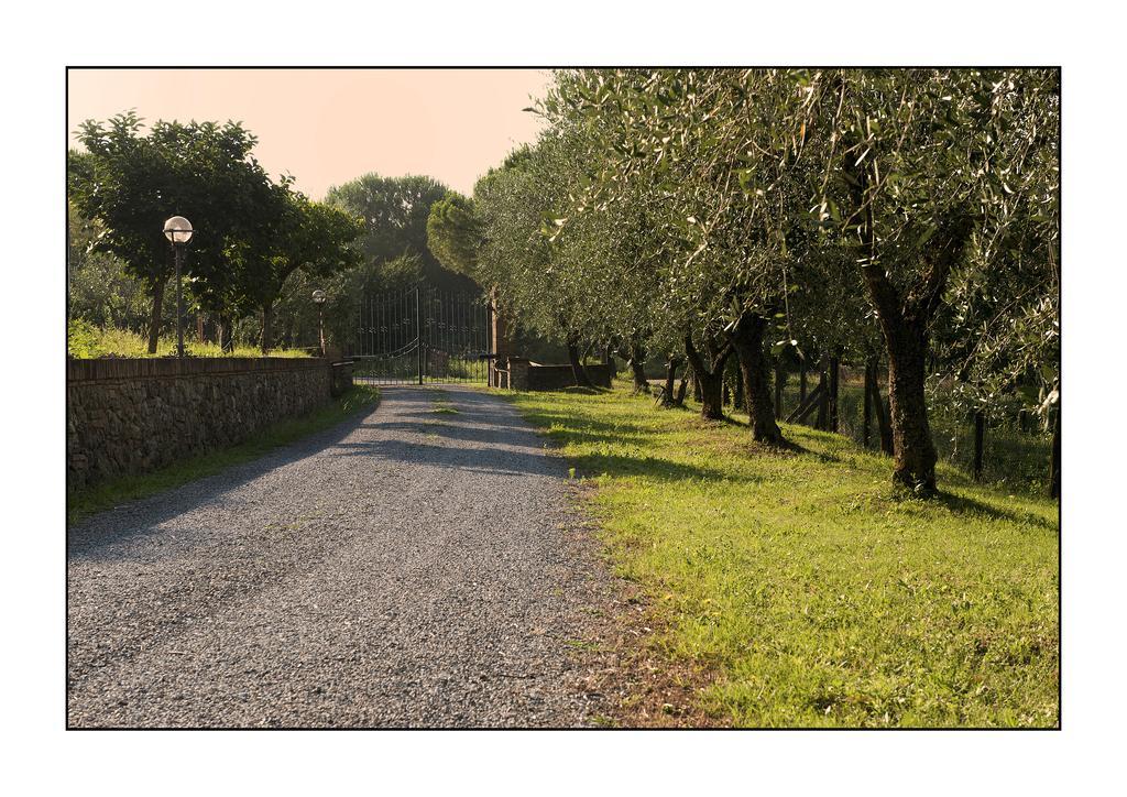 B&B Casale Virgili Сиена Экстерьер фото